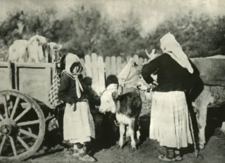 Љиљана Ђуришић: Свуда приче о Албанској голготи…