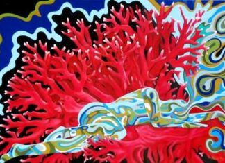 Др Радана Лукајић: О плагијатима, суматризму и још понечему