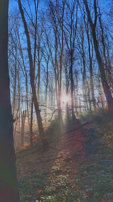 641259800_1256041016620571_1847220522618292562_n