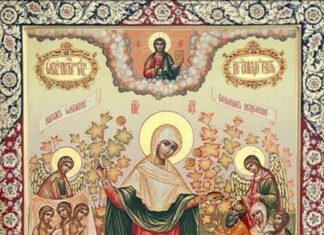 Божица Везмар – РАДОСТ ЖАЛОСНИХ