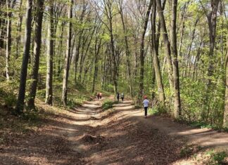 Добротворна шетња на Фрушкој гори!