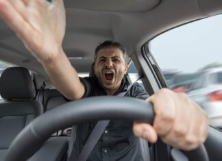 Милош Димић: Зашто Срби толико псују?