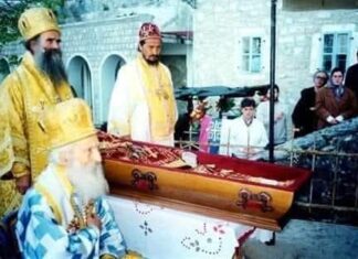 Милош Димић: Поклоњење Светом Василију