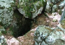 Сањао сам поново онај исти сан…