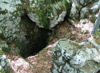 Сањао сам поново онај исти сан…