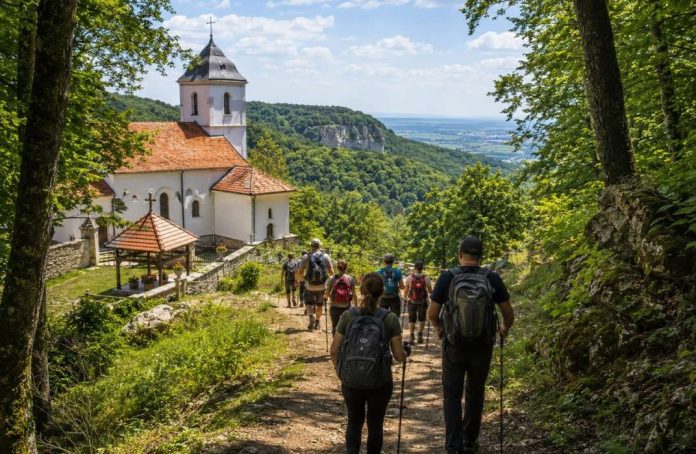 pesacenje fruska gora