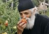 Љубав Светог Старца Пајсија