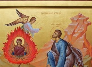 Несагорива Купина