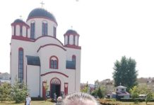 Стеван Петковић: Тајна незнања зналца